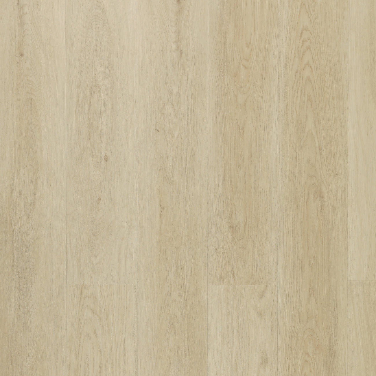 VINYL MIDDAY SUNRISE