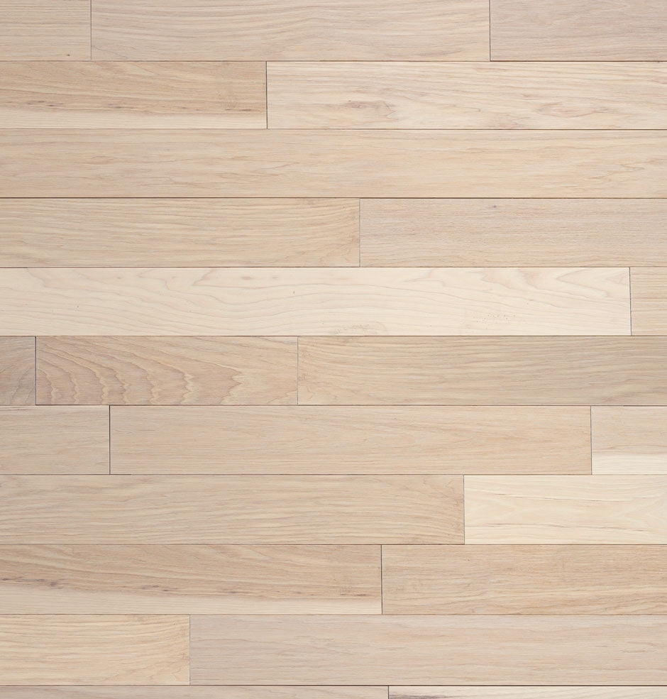 CANADIAN HICKORY SANDBANK